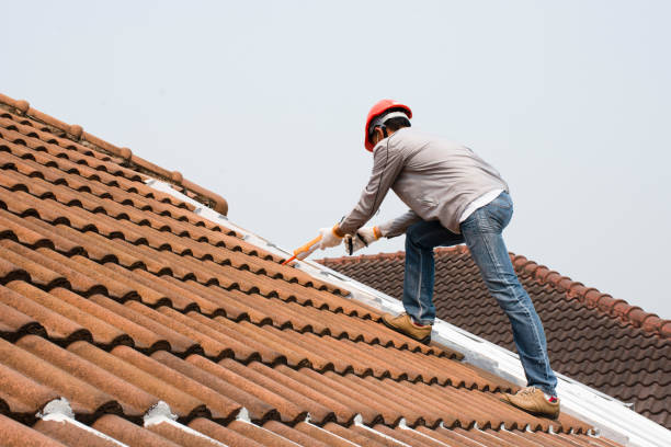 Best Roof Maintenance and Cleaning  in Johnstown, PA